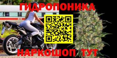 дживик Берёзовский