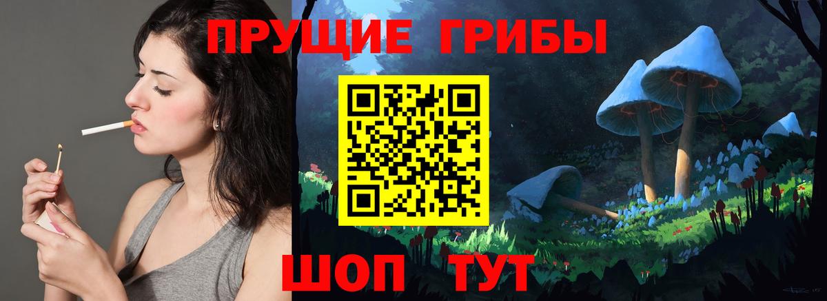 где купить наркотик  Галлюциногенные грибы GOLDEN TEACHER  Галлюциногенные грибы ЛСД  Вход с VPN  Камень-на-Оби 